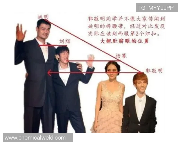 姚明黑白动画：从篮球巨星到艺术表达的跨界之旅